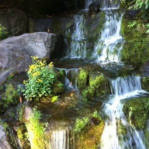 Meet your Posher, Edna